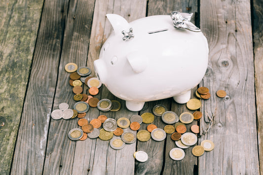 Warum wir unsere Preise anpassen – und was das für dich und dein Tier bedeutet