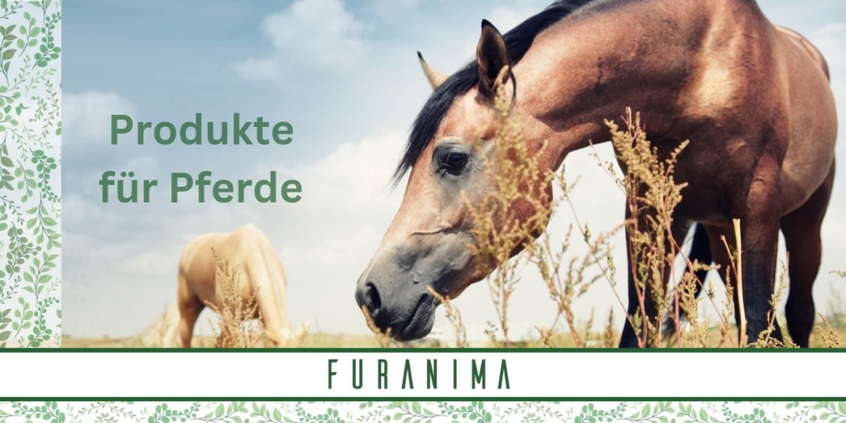 Alles für Ihr Pferd - Furanima