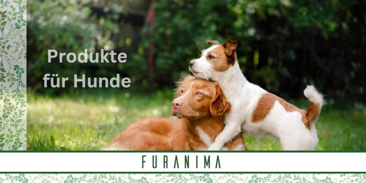 Alles für Ihren Hund - Furanima