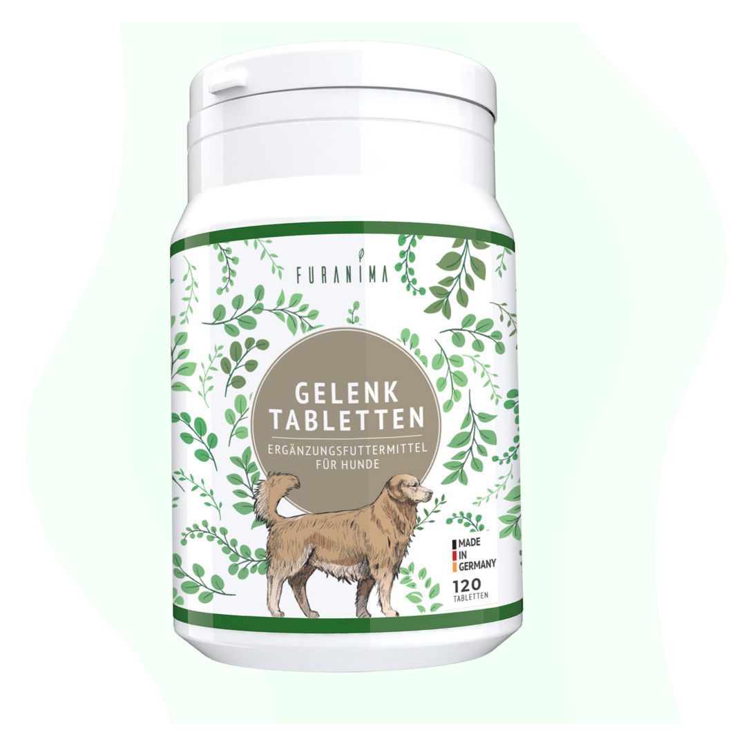 Canvarisma Gelenktabletten für Hunde Produktbild