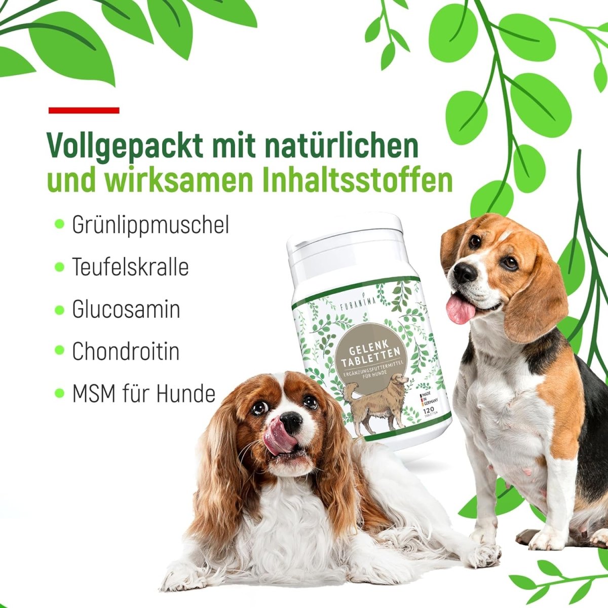 Hüft - & Gelenktabletten Hunde, Ergänzungsfuttermittel - 120 Tabletten - Furanima