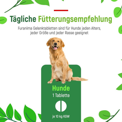 Hüft - & Gelenktabletten Hunde, Ergänzungsfuttermittel - 120 Tabletten - Furanima