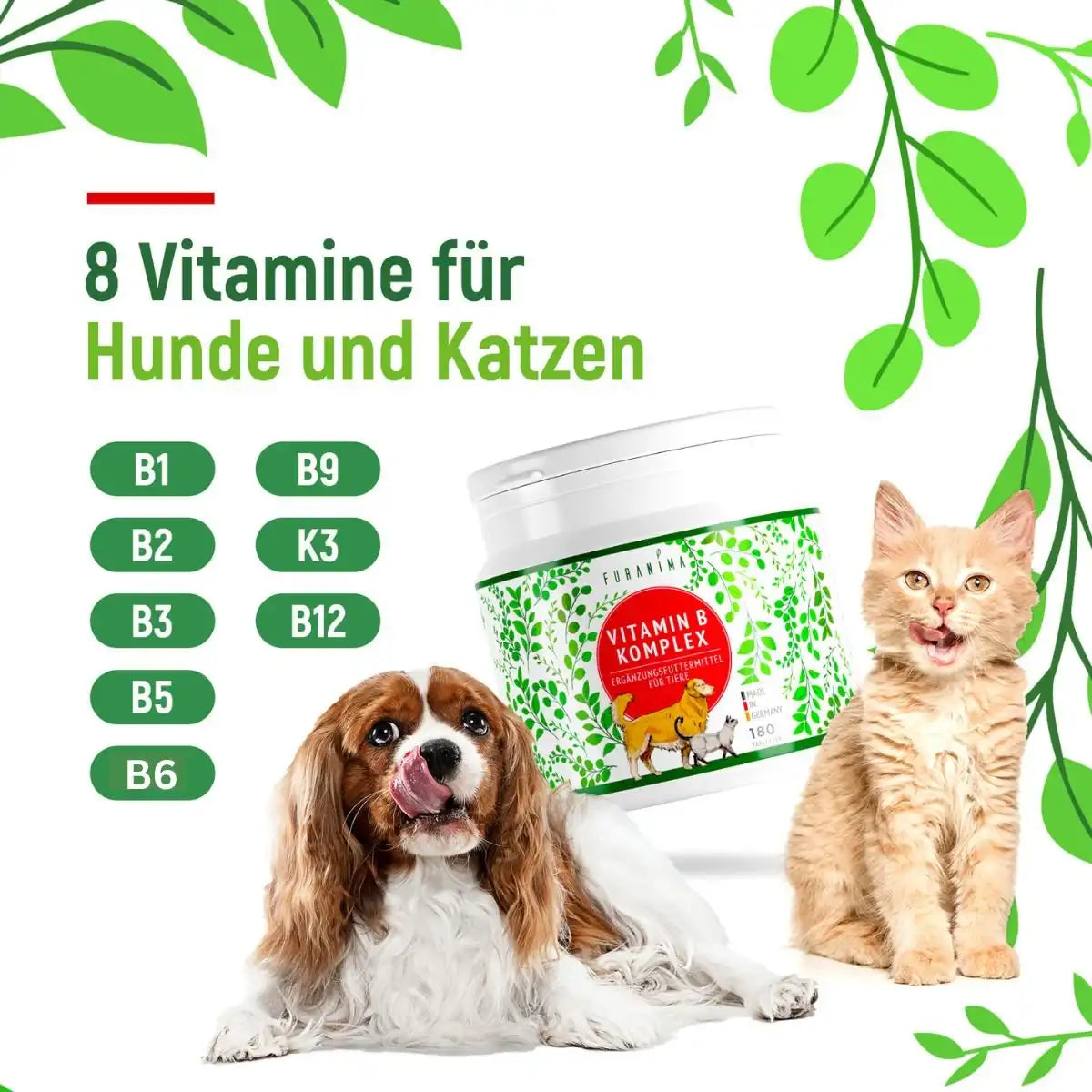 Vitamin B Komplex für Hunde & Katzen - 180 Tabletten 050db3-c3.myshopify.com