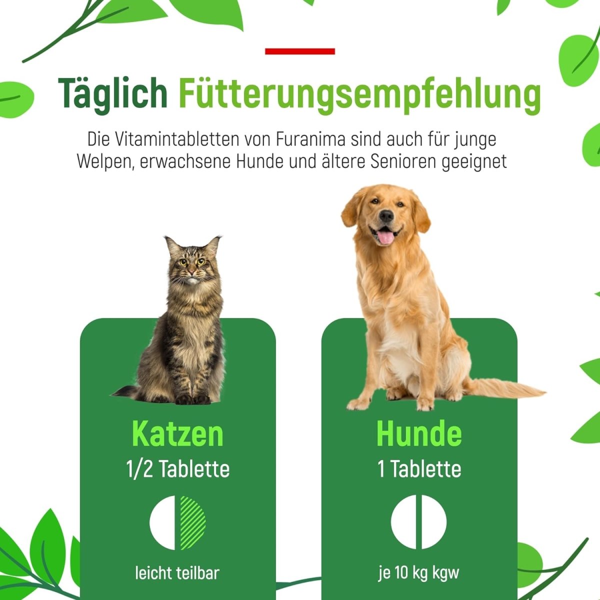 Vitamin B Komplex für Hunde & Katzen, Ergänzungsfuttermittel - 180 Tabletten - Furanima